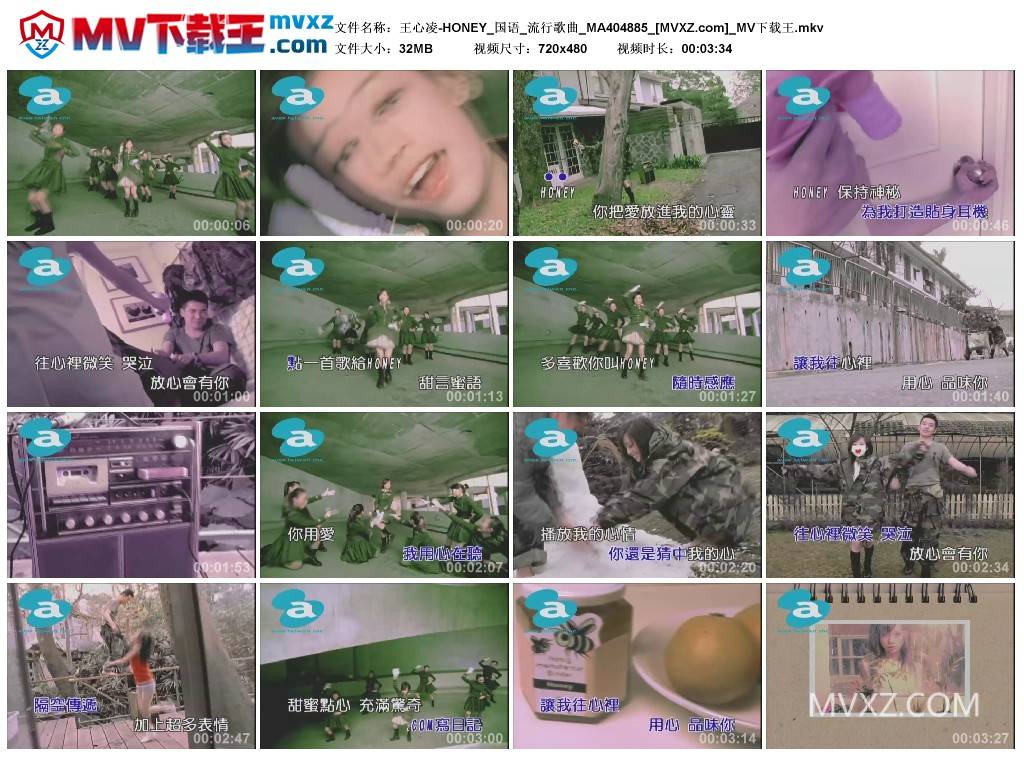 王心凌-HONEY_国语_流行歌曲_MA404885